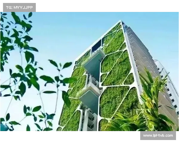 昂热球场屋顶太阳能板正式竣工 每年减少1200吨碳排放助力绿色能源转型 昂热球场屋顶太阳能板正式竣工 每年减少1200吨碳排放助力绿色能源转型
