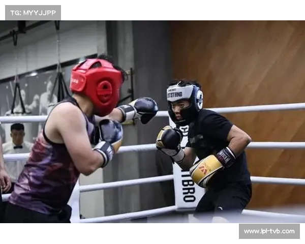 我国拳击赛事市场化运作问题分析:赛事策划创新不足、营销手段单一 我国拳击赛事市场化运作问题分析:赛事策划创新不足、营销手段单一